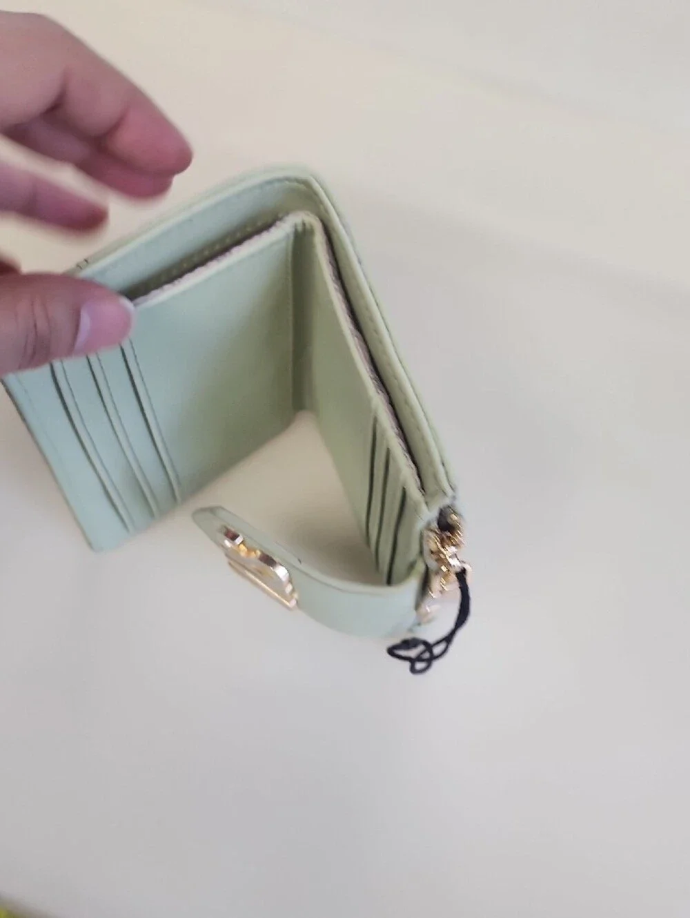 Steve Madden Pale Mint Wallet with Gold SM Accent
